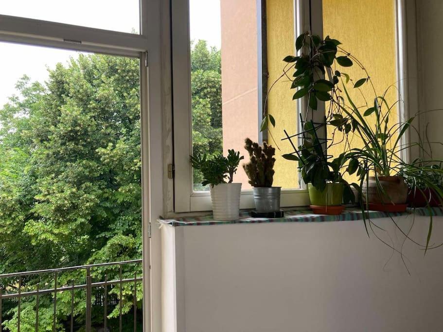 Apartamento Oh Lola! Belgrado Exterior foto